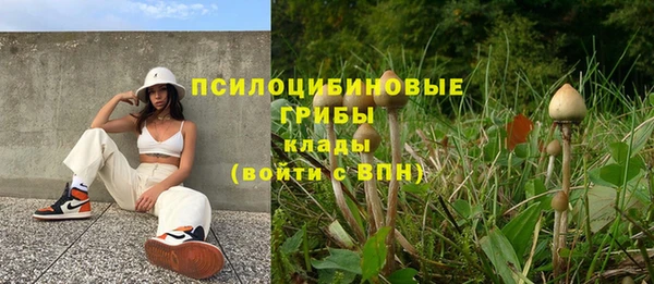 дмт Верея