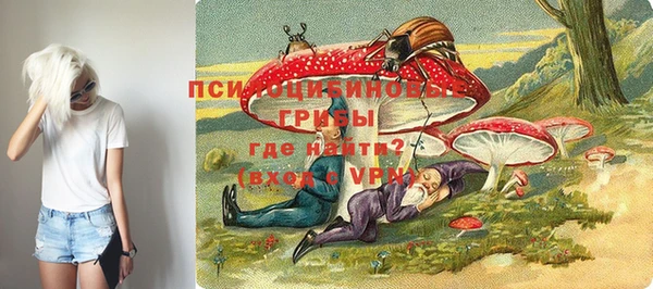 дмт Верея